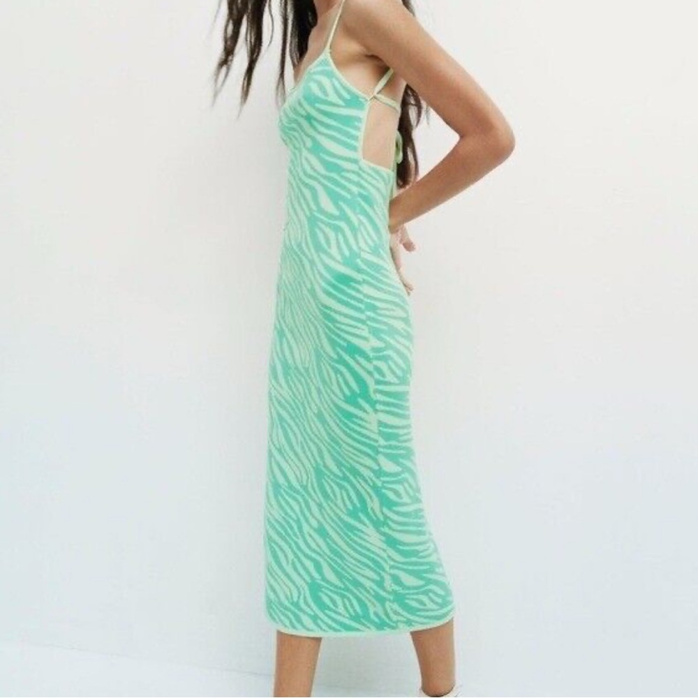 Zara Mint Green Zebra Print Dress